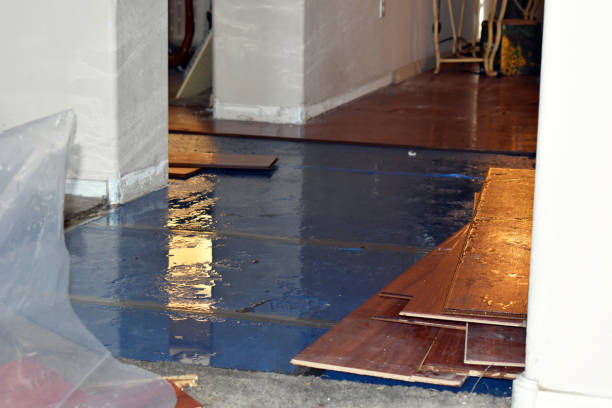 Professional Basement Flood Cleanup technician working in Highlands, NJ